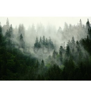 Vlies fotótapéta: Köd az erdő felett (1) - 184x254 cm