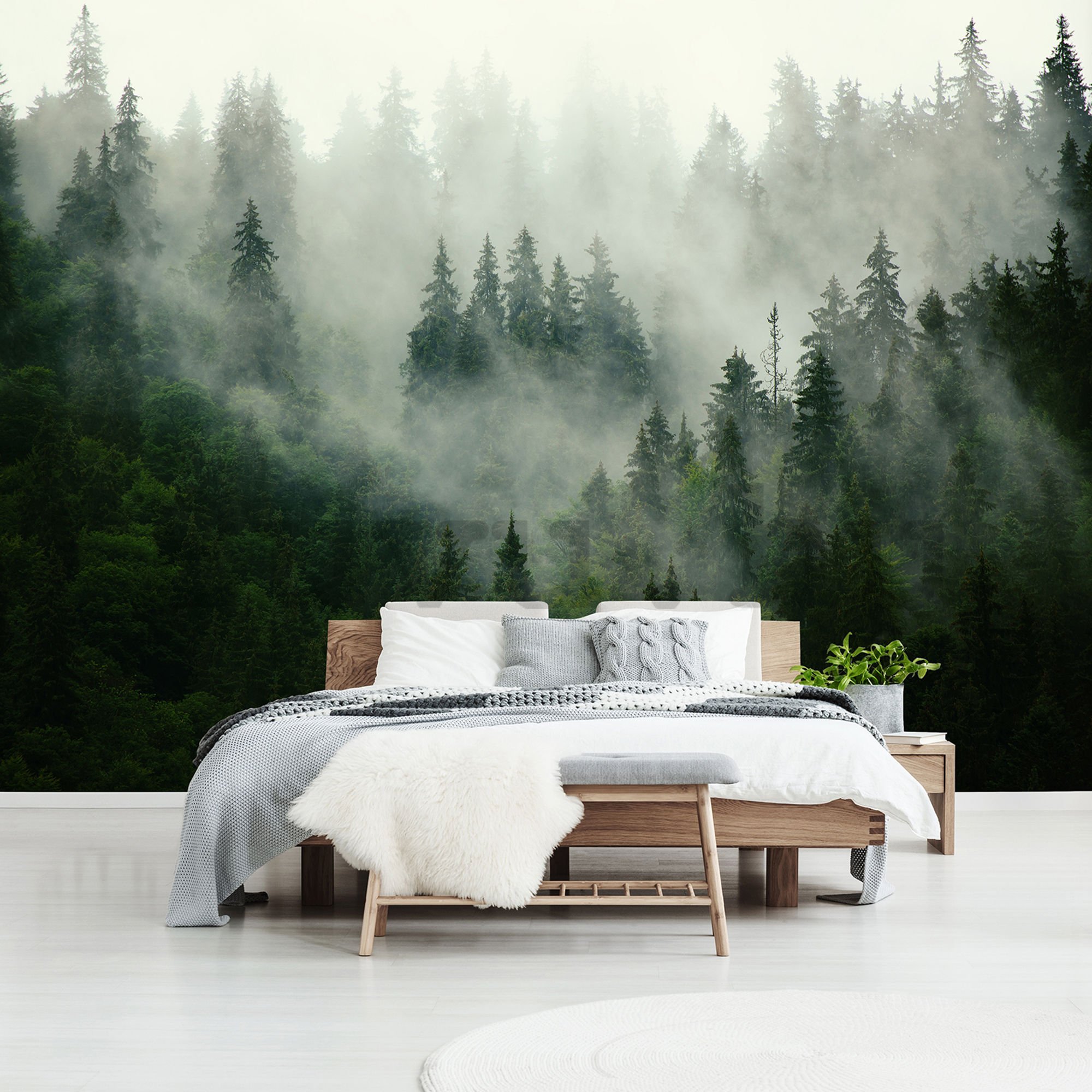 Vlies fotótapéta: Köd az erdő felett (1) - 104x152,5 cm