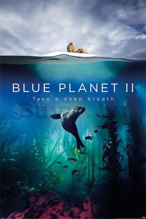 Plakát - Blue Planet 2 (Take A Deep Breath)