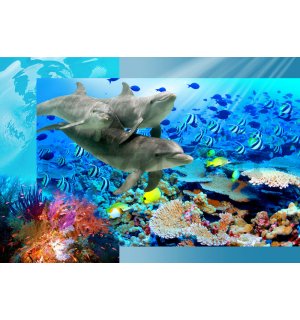 Fotótapéta: Víz alatti világ - 184x254 cm
