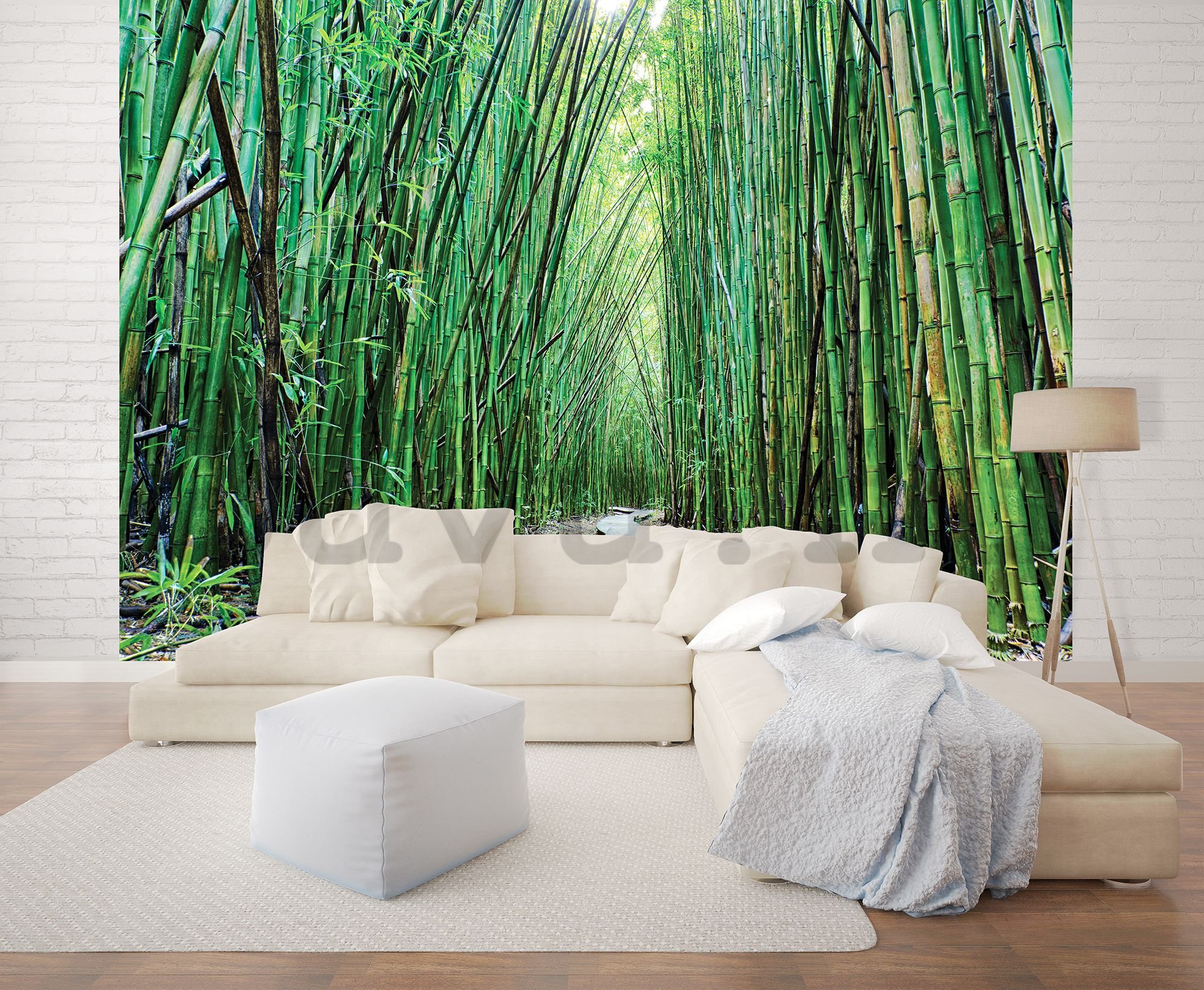 Fotótapéta: Bambuszerdő (2) - 254x368 cm