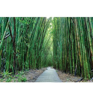 Fotótapéta: Bambuszerdő (2) - 254x368 cm