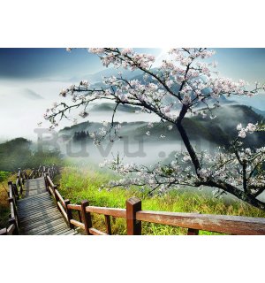 Fotótapéta: Cseresznyefa a lépcső felett - 184x254 cm