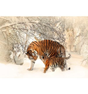 Vlies fotótapéta: Tigrisek (1) - 184x254 cm
