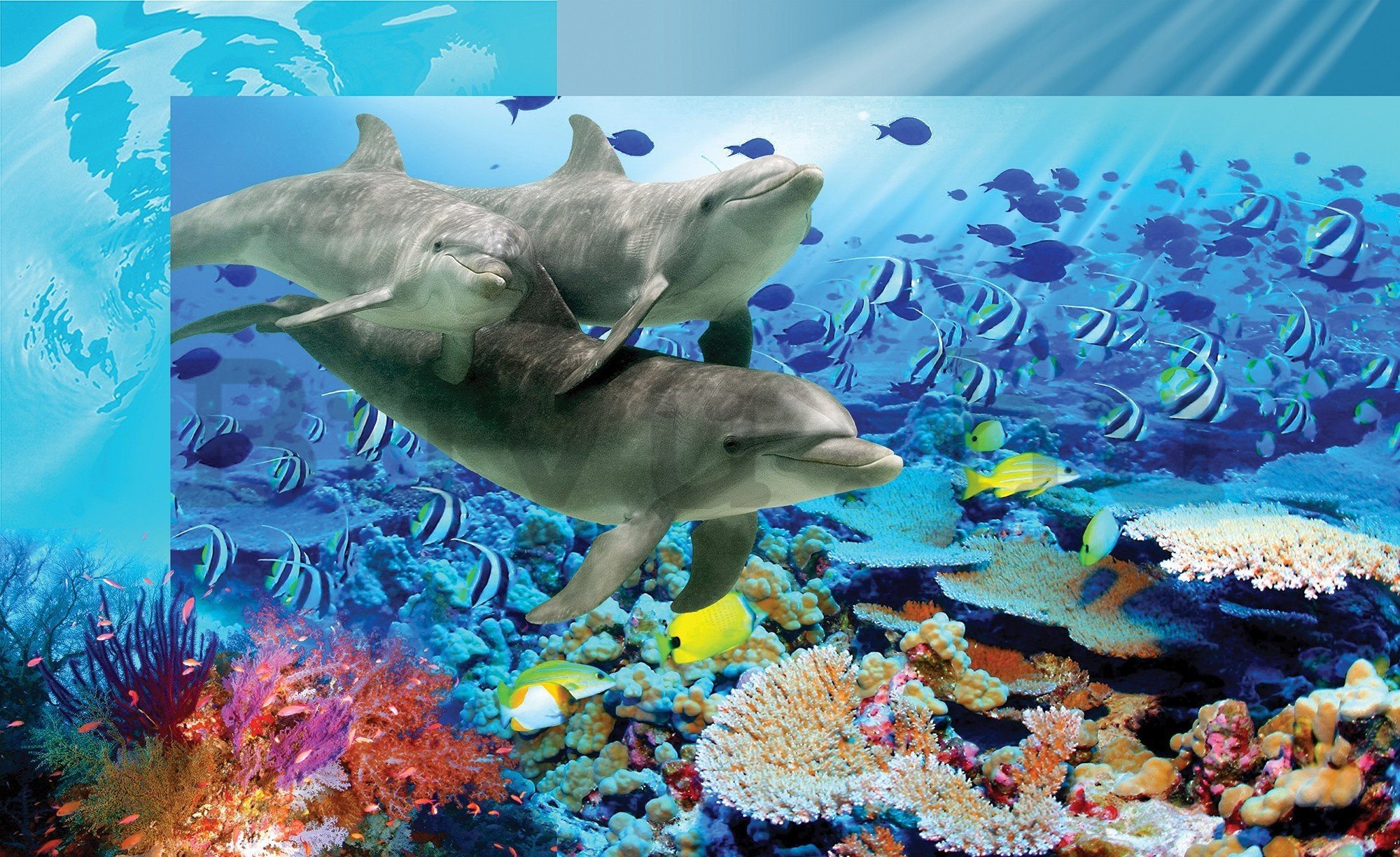 Vlies fotótapéta: Víz alatti világ - 416x254 cm