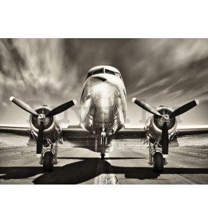 Vlies fotótapéta: Repülő (feket - 416x254 cm