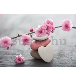 Vlies fotótapéta: Virágzó cseresznye és a szív - 416x254 cm