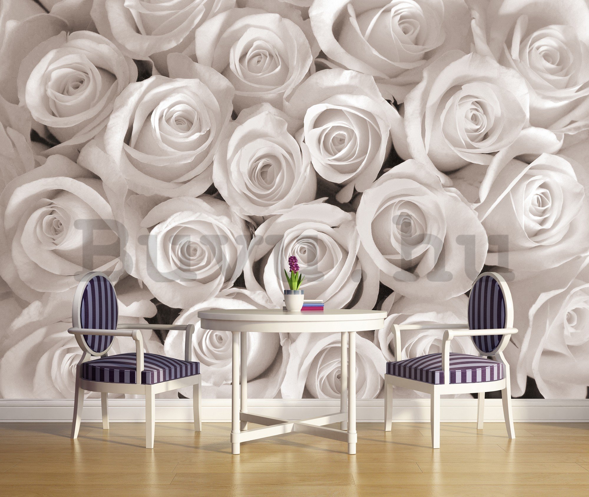 Vlies fotótapéta: Fehér rózsa - 416x254 cm