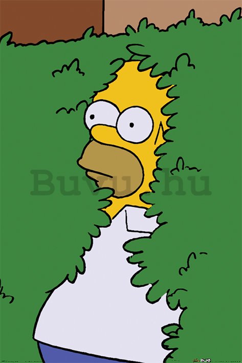 Plakát - The Simpsons (Homer Bush)