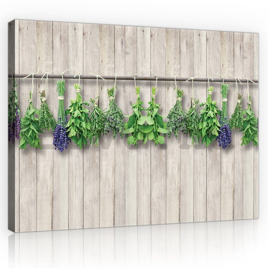 Vászonkép: Levendula és gyógynövények - 75x100 cm