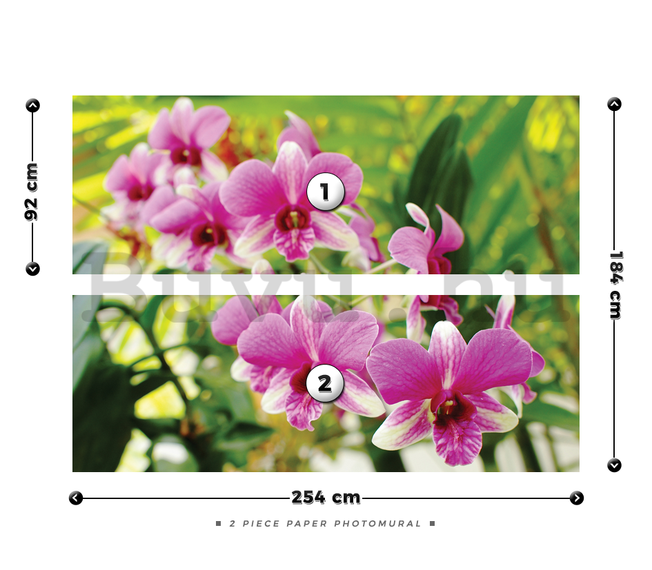 Fotótapéta: Orchidea (3) - 184x254 cm