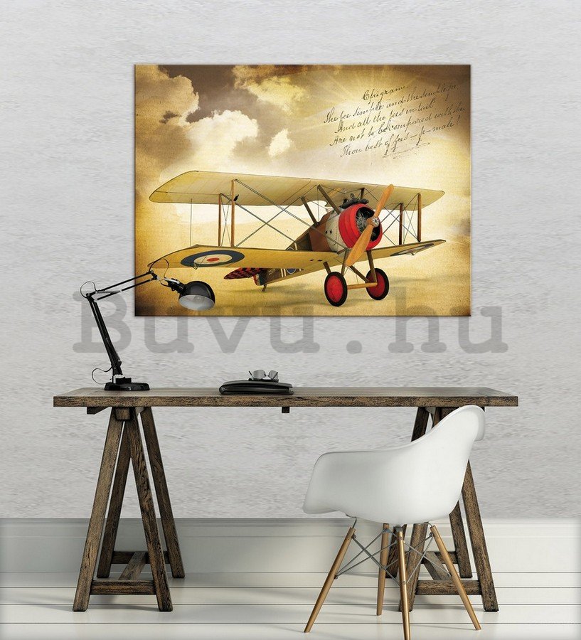 Vászonkép: Kétfedelű repülőgép (Vintage) - 75x100 cm