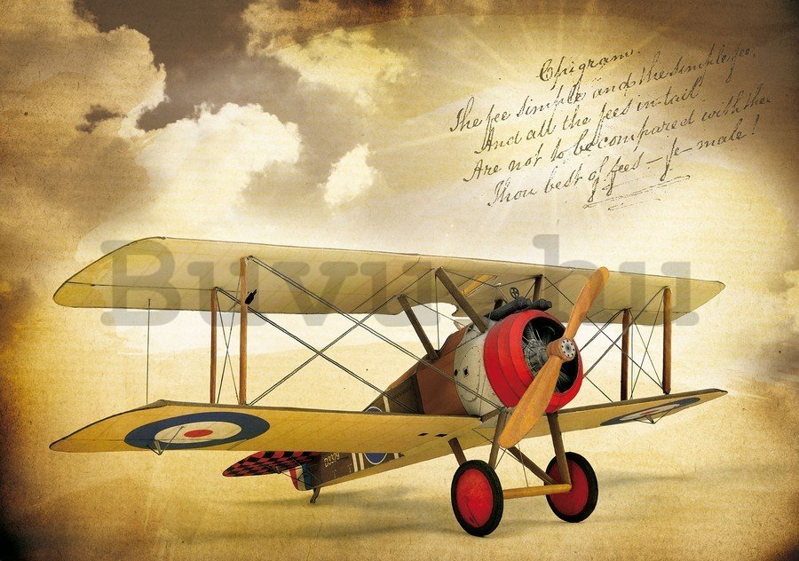 Vászonkép: Kétfedelű repülőgép (Vintage) - 75x100 cm