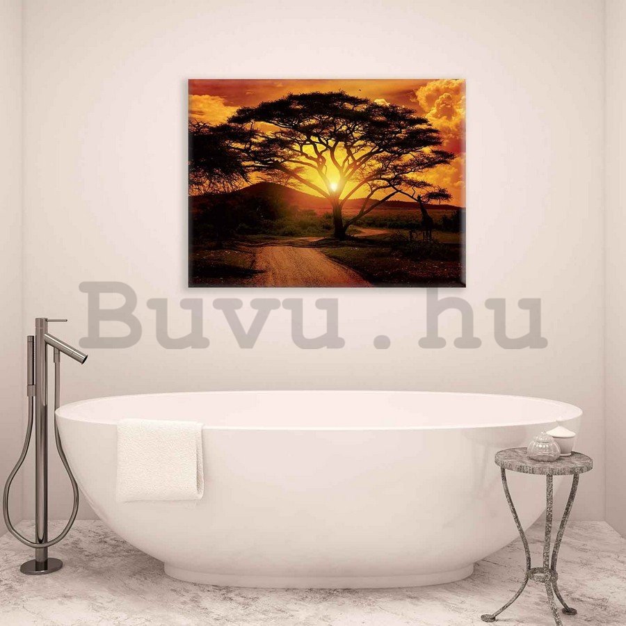 Vászonkép: Afrikai naplemente - 75x100 cm