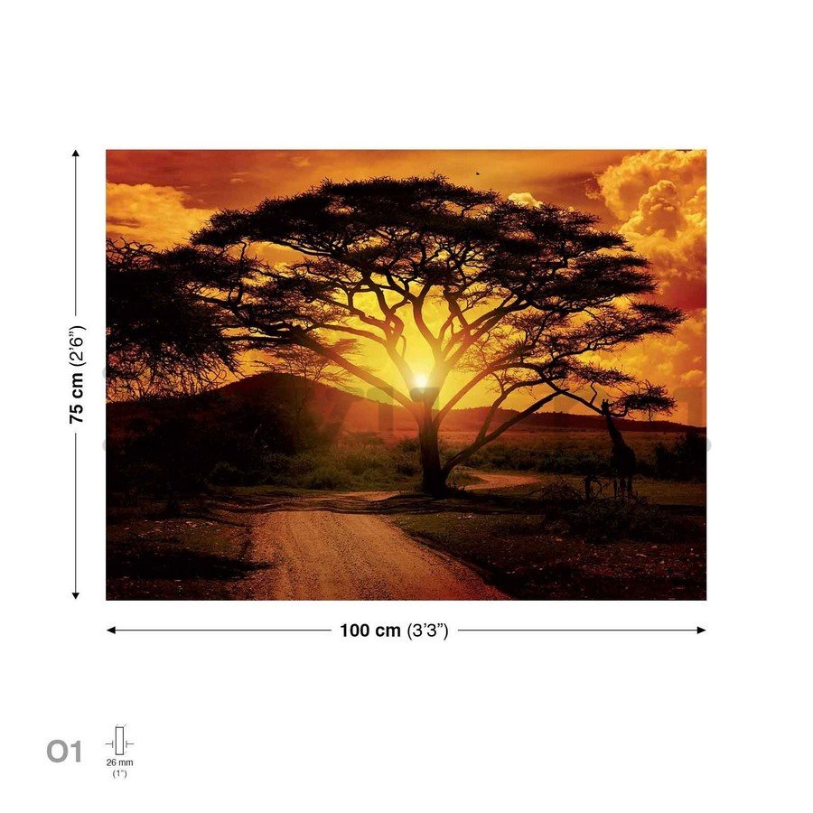 Vászonkép: Afrikai naplemente - 75x100 cm