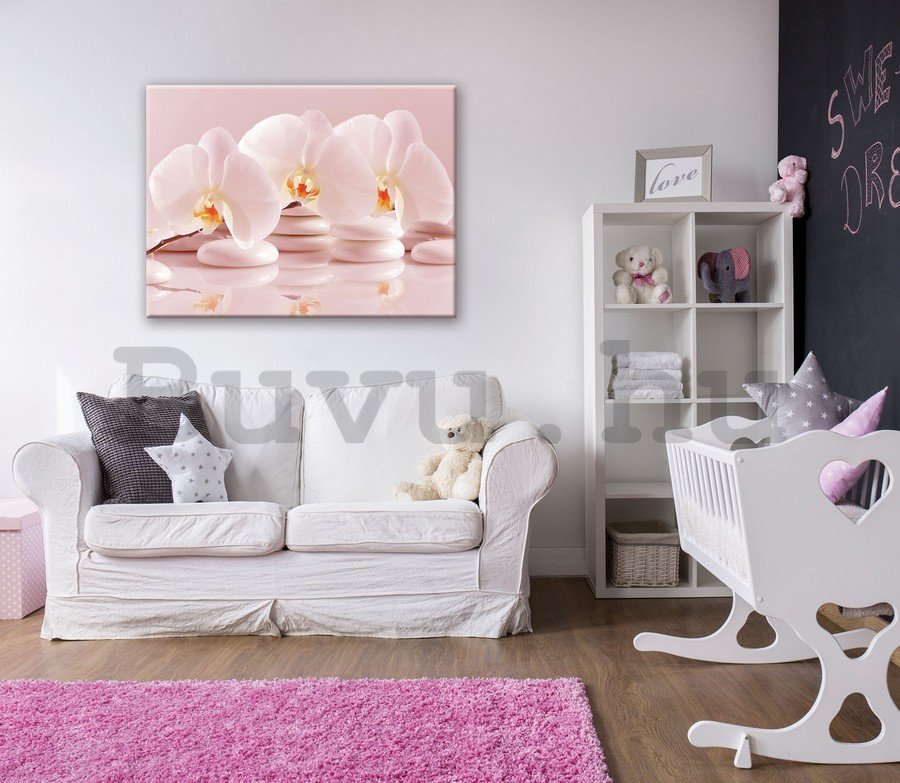 Vászonkép: Rózsaszín orchideák - 75x100 cm