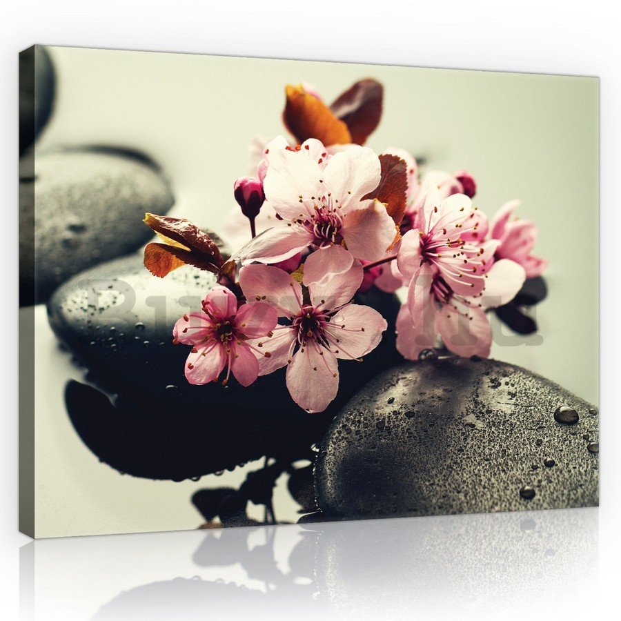 Vászonkép: Zen és virágok - 75x100 cm