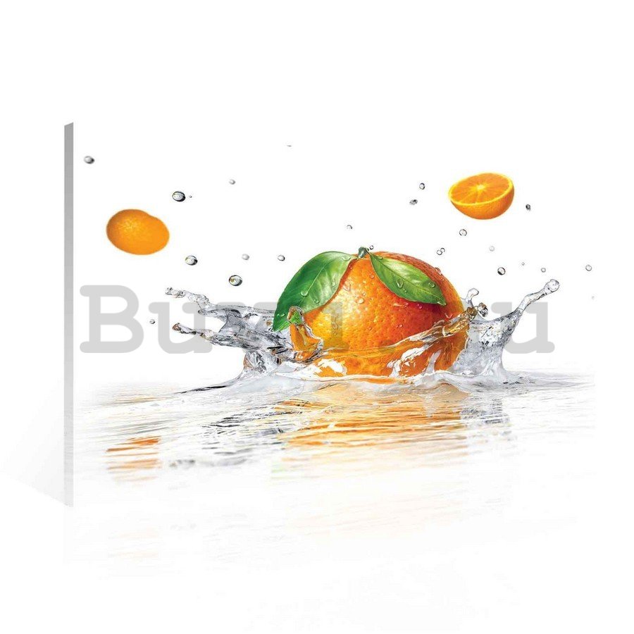 Vászonkép: Narancs - 75x100 cm