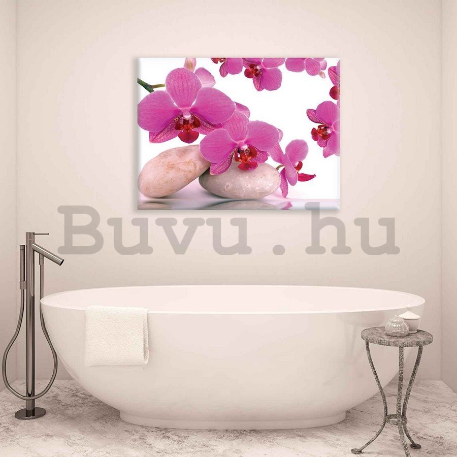 Vászonkép: Orchidea és kövek - 75x100 cm
