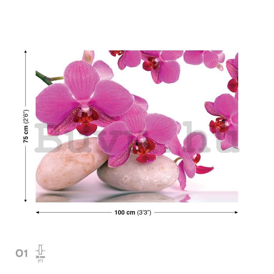 Vászonkép: Orchidea és kövek - 75x100 cm
