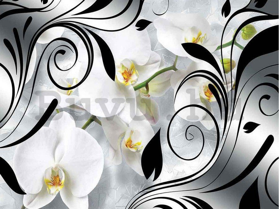 Vászonkép: Fehér orchidea és absztrakció - 75x100 cm