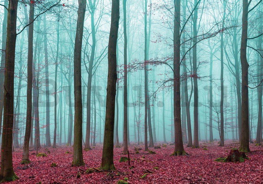 Vászonkép: Ködbe borult erdő (3) - 75x100 cm