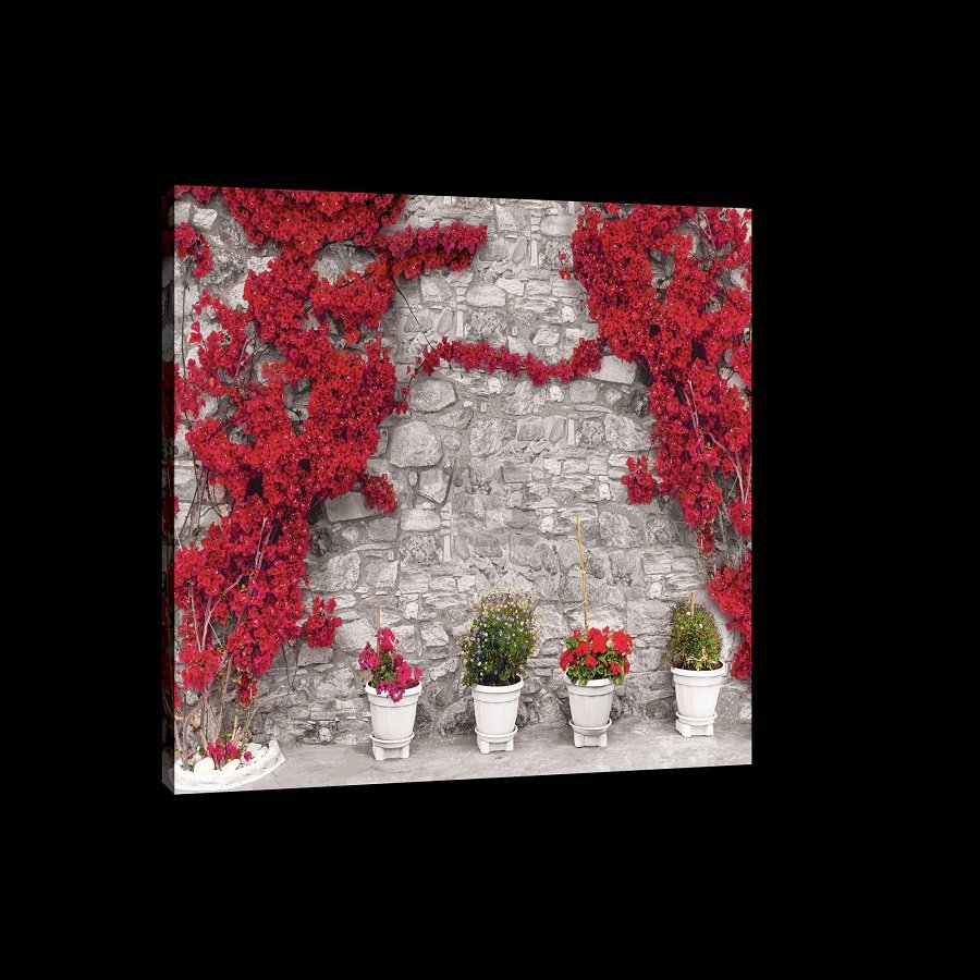 Vászonkép: Piros virágos fal - 75x100 cm