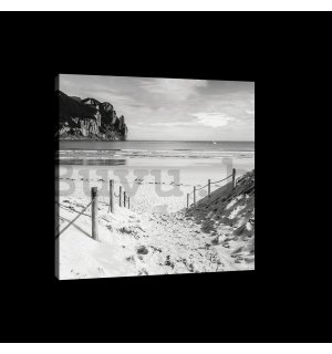 Vászonkép: Homokos tengerpart (fekete-fehér) - 75x100 cm