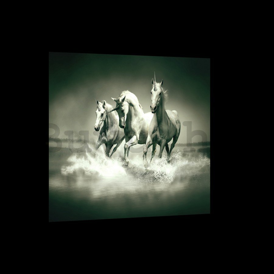 Vászonkép: Unicorns (fekete-fehér) - 75x100 cm