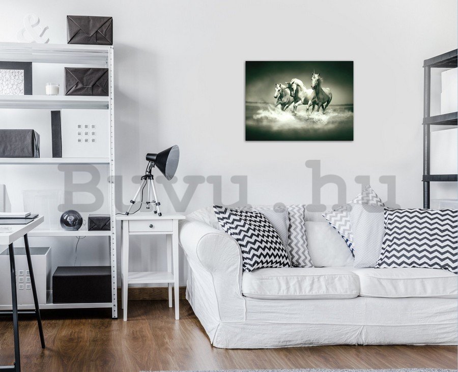 Vászonkép: Unicorns (fekete-fehér) - 75x100 cm