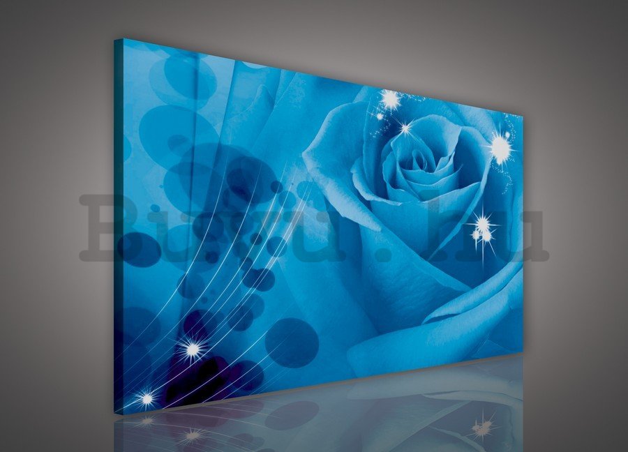 Vászonkép: Kék rózsa (1) - 75x100 cm