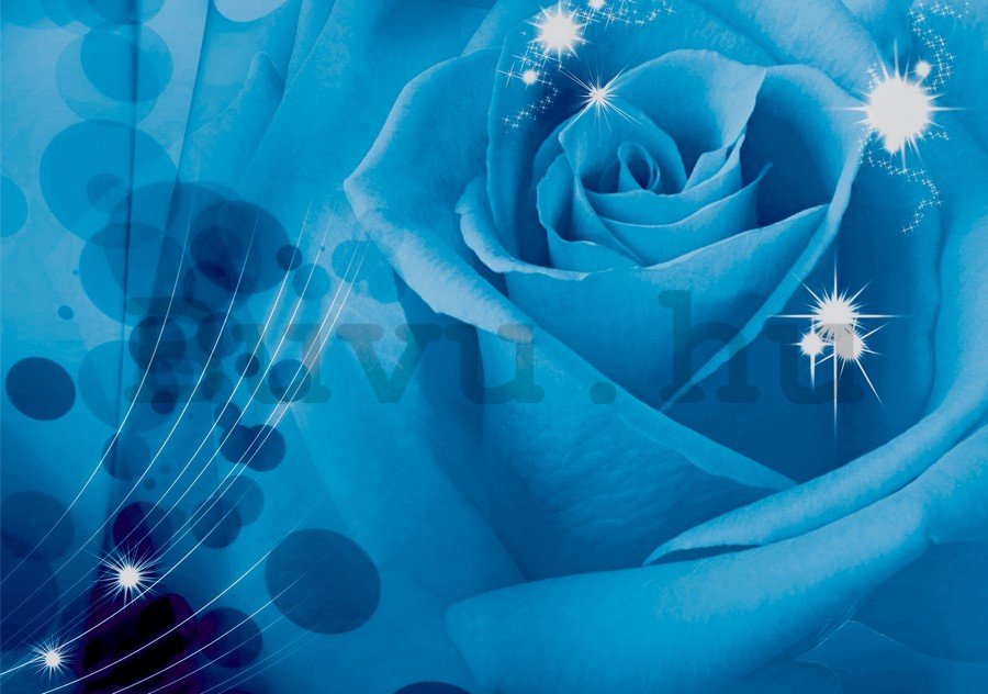 Vászonkép: Kék rózsa (1) - 75x100 cm