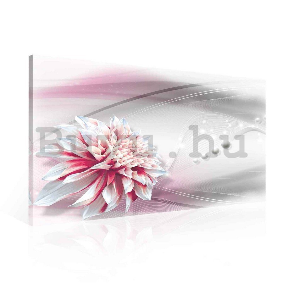 Vászonkép: Virágabsztrakció (3) - 75x100 cm