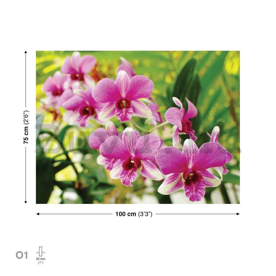 Vászonkép: Orchidea (3) - 75x100 cm