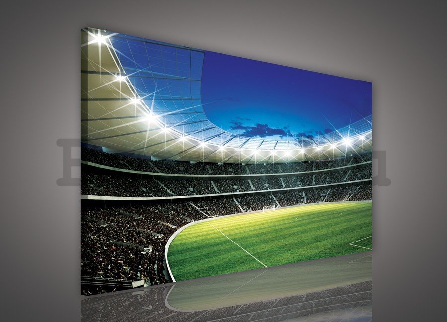 Vászonkép: Futballstadion (1) - 75x100 cm