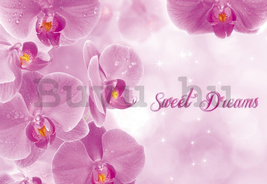 Vászonkép: Orchidea (Sweet dreams) - 75x100 cm