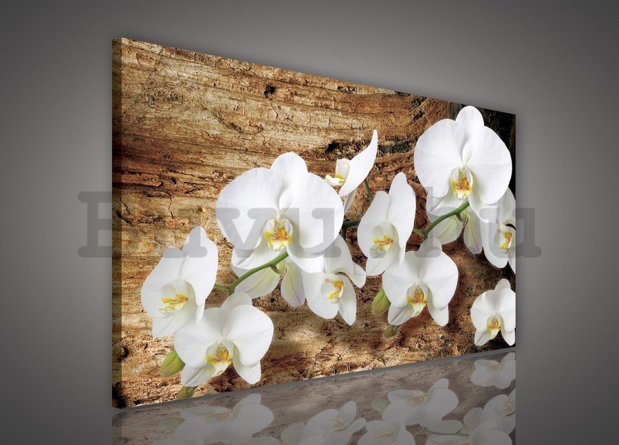 Vászonkép: Orchideák a fa - 75x100 cm