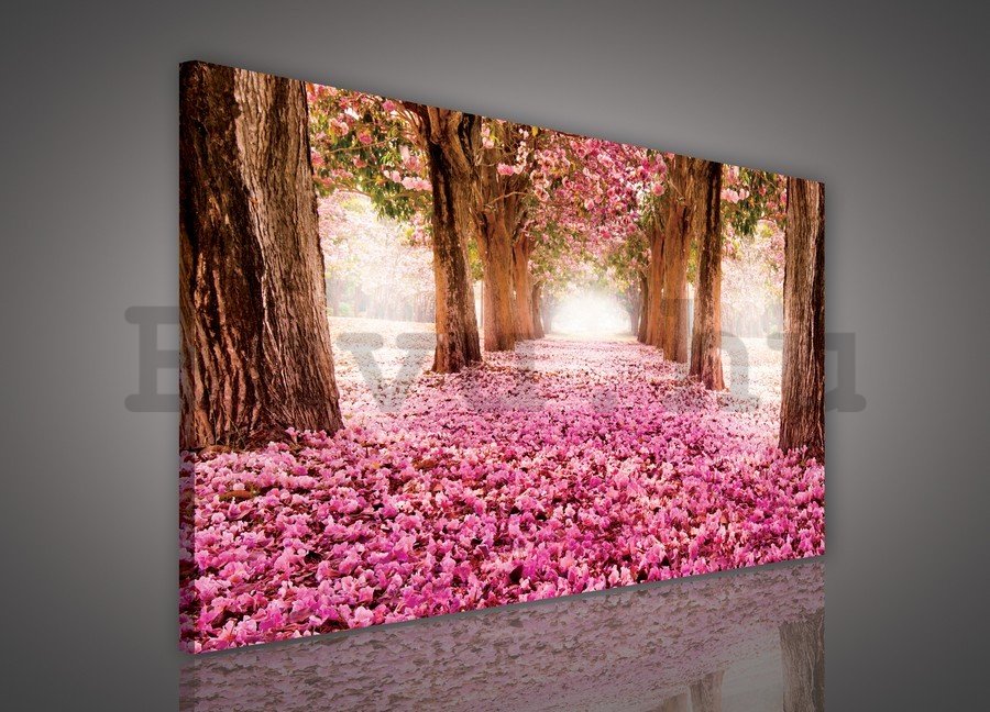 Vászonkép: Virágzó fasor (1) - 75x100 cm