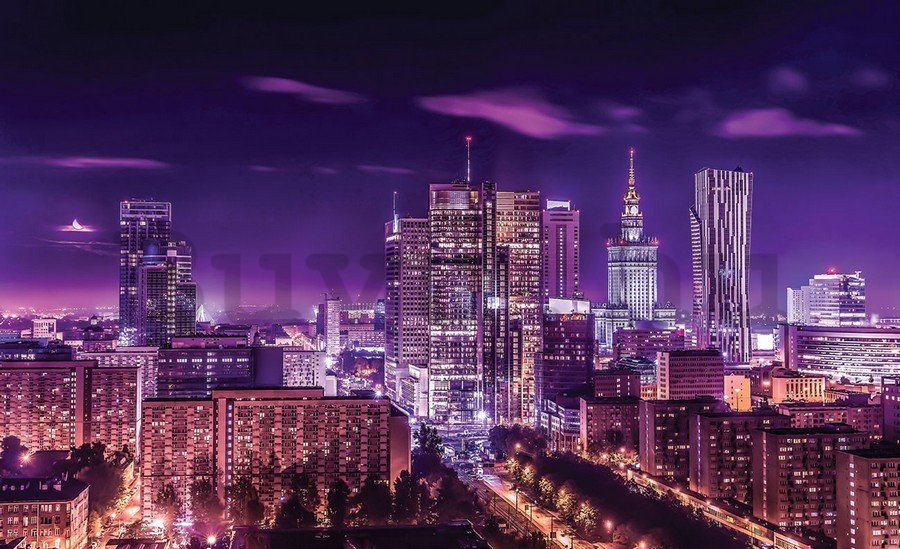 Vászonkép: Éjszakai város (lila) - 75x100 cm