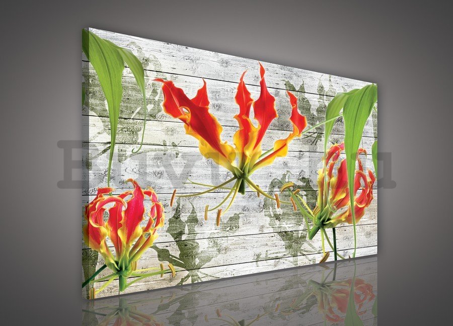 Vászonkép: Absztrakt virágok (4) - 75x100 cm
