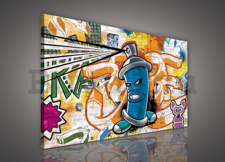 Vászonkép: Graffiti (3)  - 75x100 cm