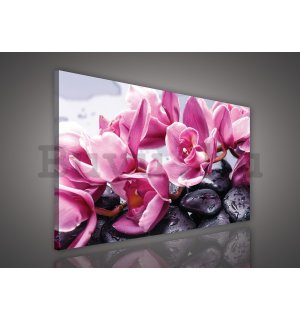 Vászonkép: Spa kövek és rózsaszín orchideák - 75x100 cm