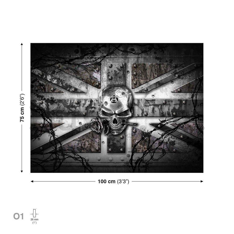 Vászonkép: Iron Kingdom (černobílé) - 75x100 cm