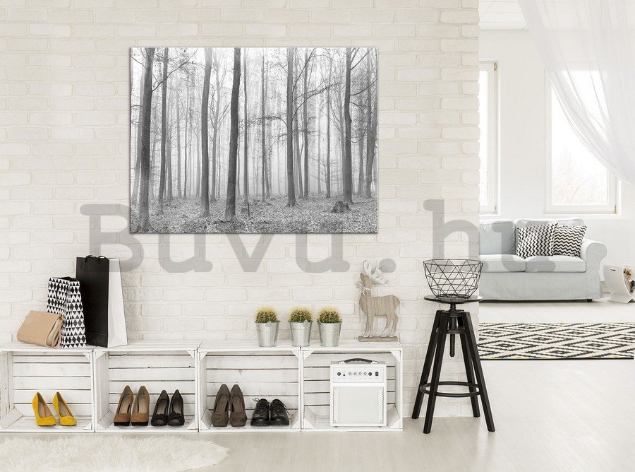 Vászonkép: Ködbe borult erdő (2) - 75x100 cm