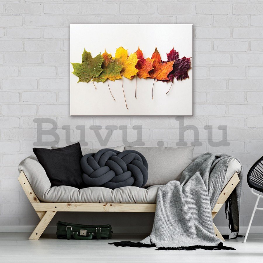 Vászonkép: Őszi falevelek - 75x100 cm