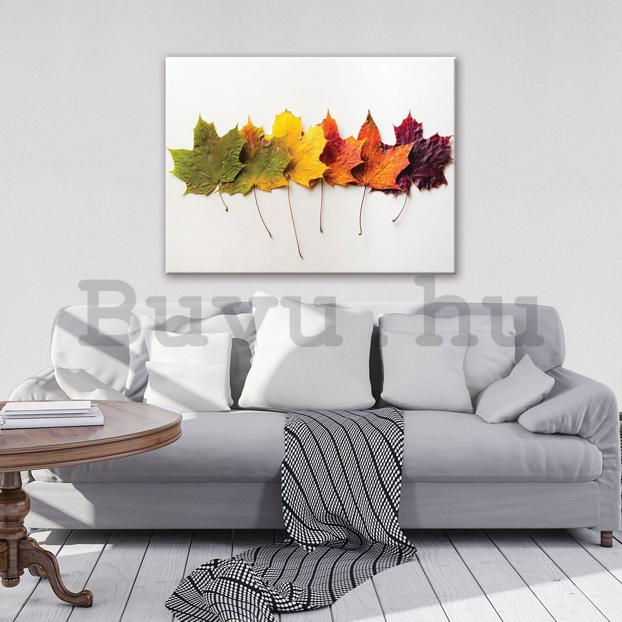 Vászonkép: Őszi falevelek - 75x100 cm