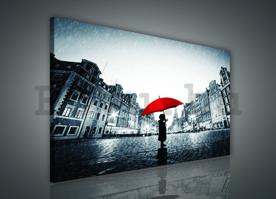Vászonkép: Az esőben - 75x100 cm