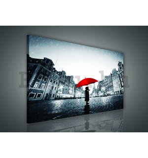 Vászonkép: Az esőben - 75x100 cm