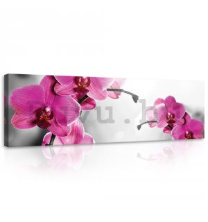 Vászonkép: Orchidea (4) - 145x45 cm