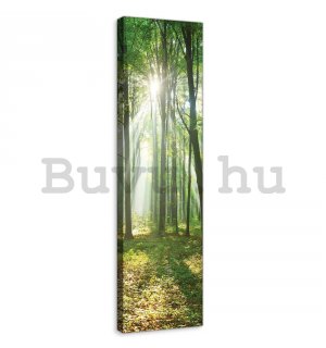 Vászonkép: Napfény az erdőben (3) - 145x45 cm